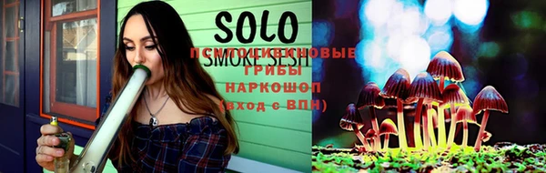 PSILOCYBIN Осташков