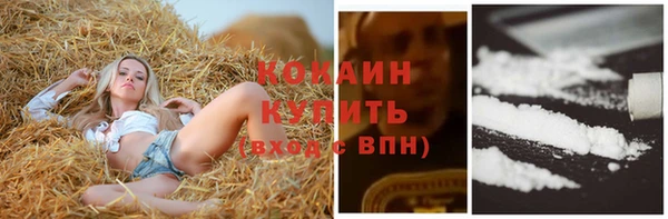 PSILOCYBIN Осташков