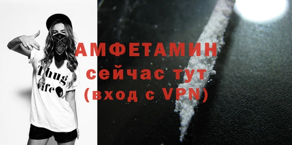 МДПВ Няндома