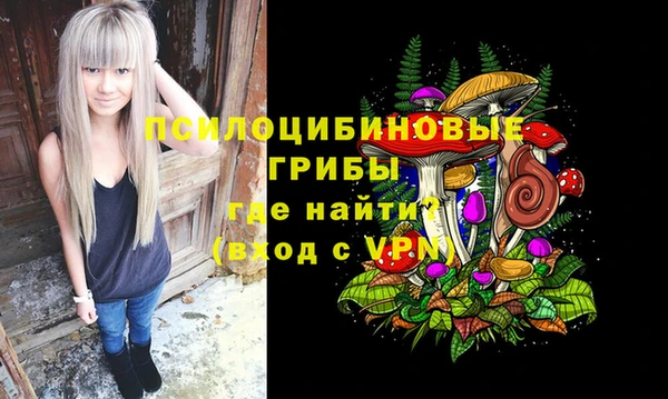 PSILOCYBIN Осташков