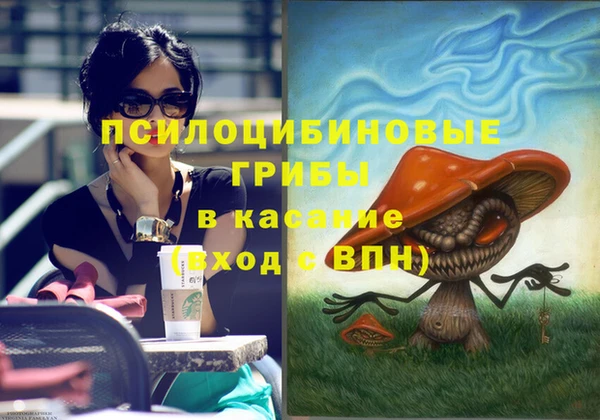 стафф Осинники
