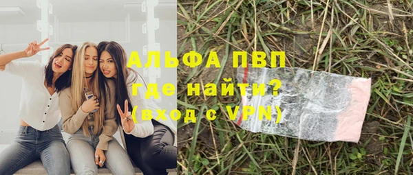 стафф Осинники