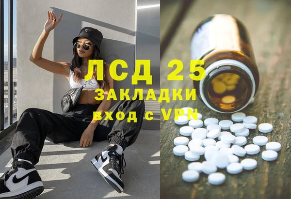 PSILOCYBIN Осташков