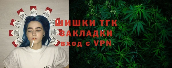 PSILOCYBIN Осташков