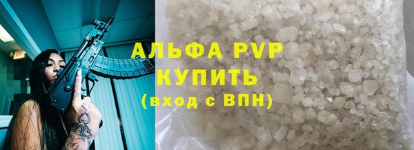 PSILOCYBIN Осташков