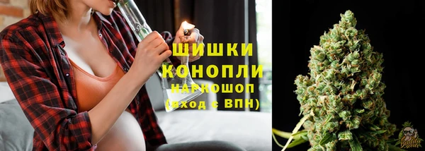 стафф Осинники
