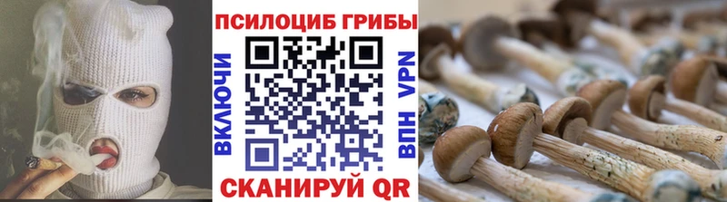 сколько стоит  Саров  Галлюциногенные грибы мухоморы 