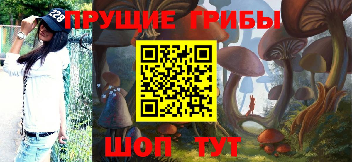 Псилоцибиновые грибы мицелий Саров