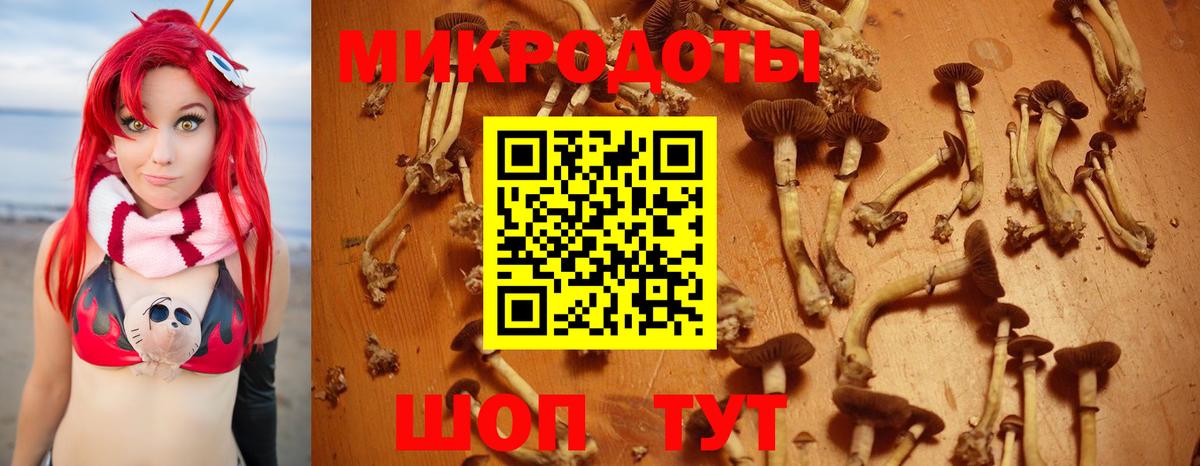 Галлюциногенные грибы мицелий Саров