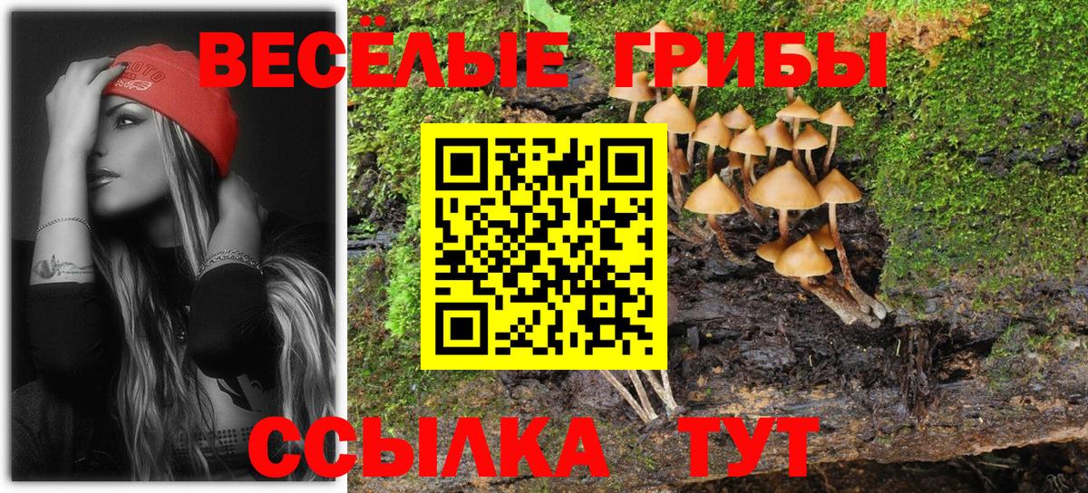 Галлюциногенные грибы мухоморы  Вход с VPN  Галлюциногенные грибы ЛСД  Саров 