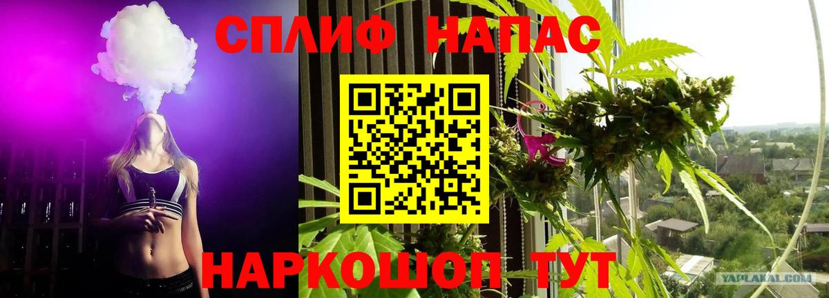 Канабис семена  МАРИХУАНА VHQ  Саров  Вход с VPN  Бошки марихуана VHQ 